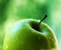 Få presset din haveæbler til den dejligeste æblemost. Dine æbler bliver ikke blandet med andres - Østervang Gaard  tæt på Køge